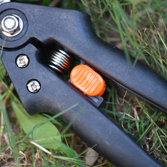 Machine-outil professionnelle de découpe de greffage de plantes fruitières de jardin Suca